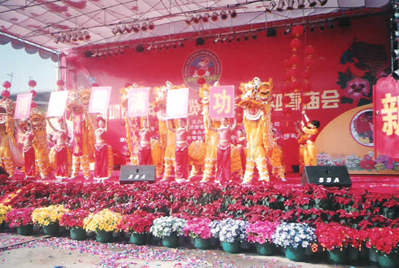 首屆年博會(huì)開幕
